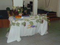 /album/fotos-nova-gera%c3%a7%c3%a3o/a1560693-573253116096249-1163217640-n-jpg/